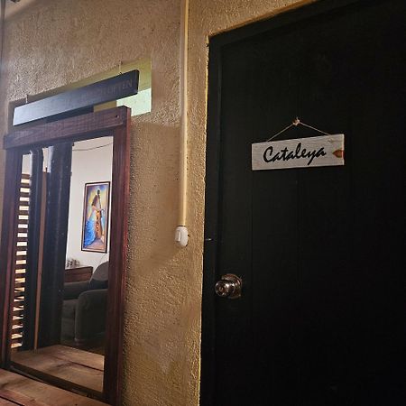 Cermeno'S House Hotel Antigua Екстериор снимка